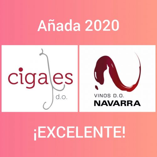 Lee más sobre el artículo Añada 2020 EXCELENTE para la DO Cigales y la DO Navarra